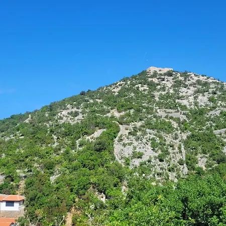 Biondic דירה
