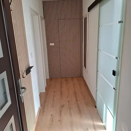 Apartmán Biondic *