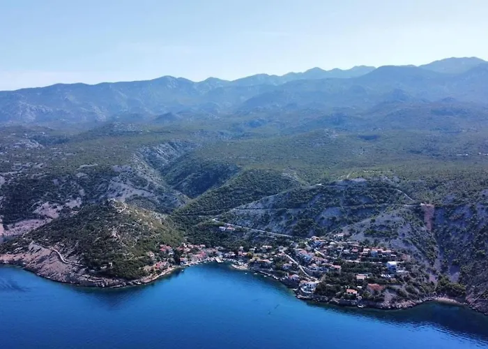 Biondic Starigrad (Kvarner)